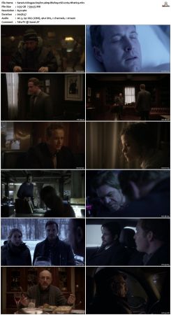 Rogue S03 480p WEB DL nSD x264-NhaNc3