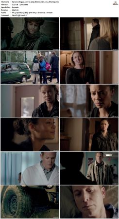 Rogue S02 480p BluRay nSD x264-NhaNc3