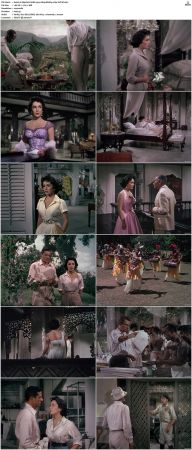 Elephant Walk 1954 1080p BluRay x264-SUP3R