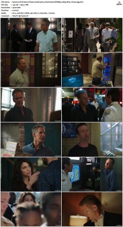 NCIS New Orleans S04 WEBRip 1080p DD5 1 H265-d3g
