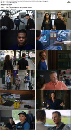 NCIS New Orleans S03 WEBRip 1080p DD5 1 H265-d3g