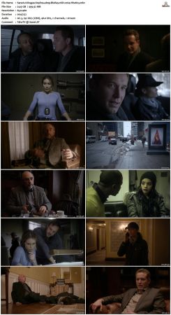 Rogue S03 480p WEB DL nSD x264-NhaNc3