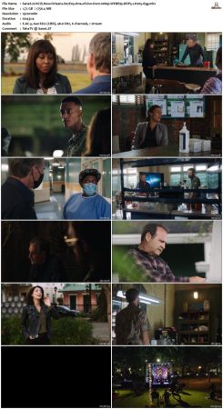 NCIS New Orleans S07 WEBRip 1080p DDP5 1 H265-d3g