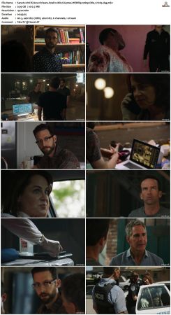 NCIS New Orleans S04 WEBRip 1080p DD5 1 H265-d3g