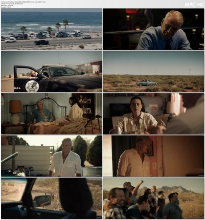 Wanted Man 2024 1080p WEBRip DDP 5.1 H265-iVy