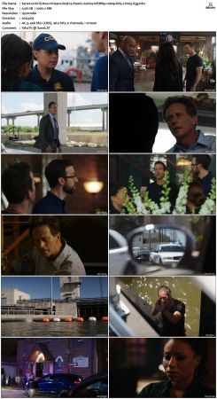 NCIS New Orleans S03 WEBRip 1080p DD5 1 H265-d3g