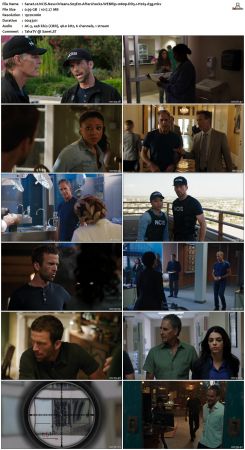 NCIS New Orleans S03 WEBRip 1080p DD5 1 H265-d3g