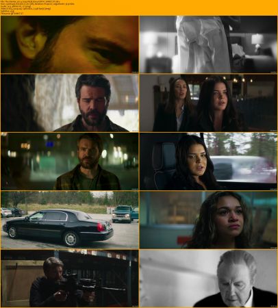 The Painter 2024 720p WEB h264-EDITH