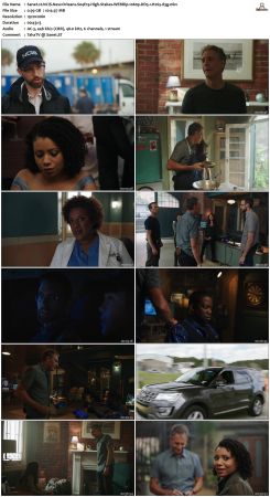 NCIS New Orleans S04 WEBRip 1080p DD5 1 H265-d3g