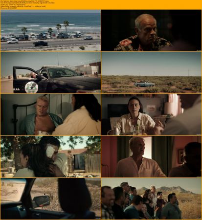 Wanted Man 2024 720p WEBRip x264 AAC-YTS