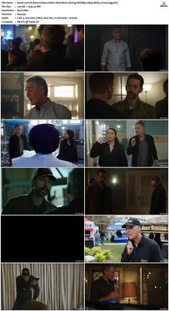 NCIS New Orleans S06 WEBRip 1080p DDP5 1 H265-d3g