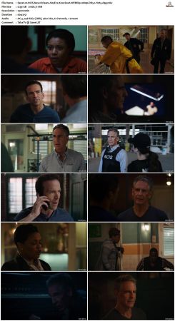 NCIS New Orleans S03 WEBRip 1080p DD5 1 H265-d3g