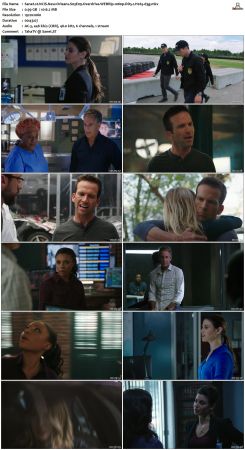 NCIS New Orleans S03 WEBRip 1080p DD5 1 H265-d3g