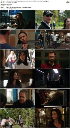 NCIS New Orleans S03 WEBRip 1080p DD5 1 H265-d3g