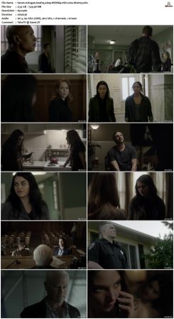 Rogue S04 480p WEB DL nSD x264-NhaNc3