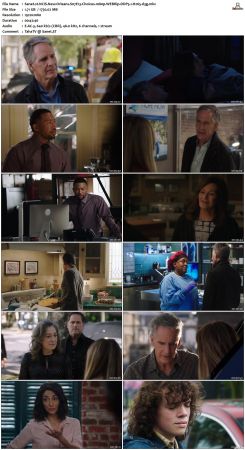 NCIS New Orleans S07 WEBRip 1080p DDP5 1 H265-d3g