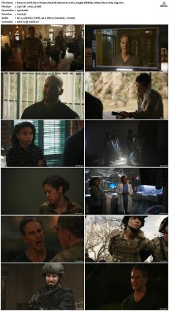 NCIS New Orleans S04 WEBRip 1080p DD5 1 H265-d3g