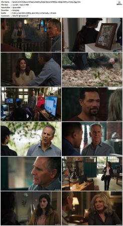 NCIS New Orleans S06 WEBRip 1080p DDP5 1 H265-d3g