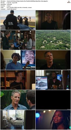 NCIS New Orleans S04 WEBRip 1080p DD5 1 H265-d3g
