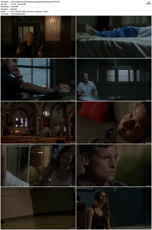 Banshee S02 1080p BluRay x264-OFT