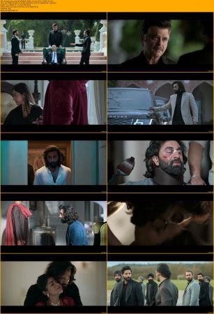 Animal 2023 720p NF WEB-DL DDP5.1 H264-ZOYA
