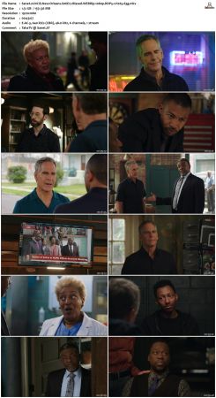 NCIS New Orleans S06 WEBRip 1080p DDP5 1 H265-d3g