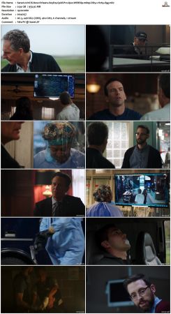 NCIS New Orleans S03 WEBRip 1080p DD5 1 H265-d3g
