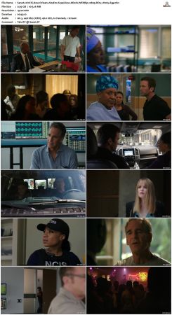 NCIS New Orleans S03 WEBRip 1080p DD5 1 H265-d3g