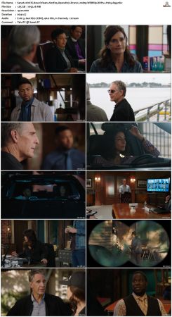 NCIS New Orleans S07 WEBRip 1080p DDP5 1 H265-d3g
