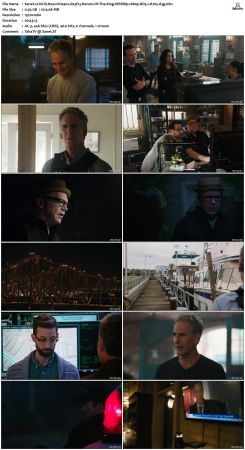 NCIS New Orleans S03 WEBRip 1080p DD5 1 H265-d3g