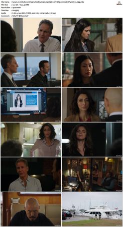 NCIS New Orleans S05 WEBRip 1080p DDP5 1 H265-d3g