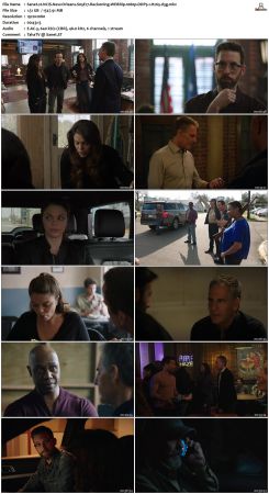 NCIS New Orleans S05 WEBRip 1080p DDP5 1 H265-d3g