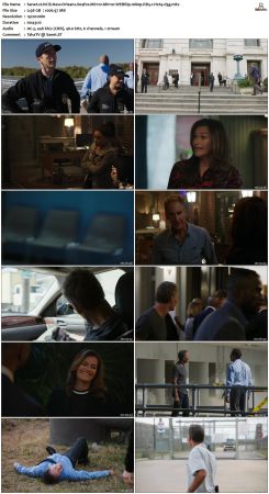 NCIS New Orleans S04 WEBRip 1080p DD5 1 H265-d3g