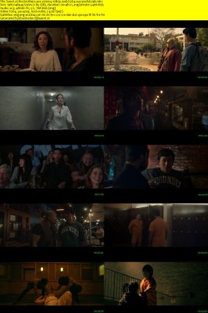 The Brothers Sun S01 1080p WEB H264-SuccessfulCrab
