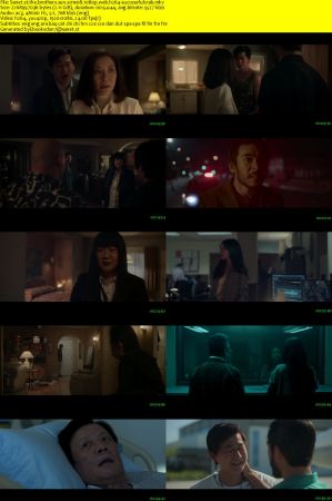 The Brothers Sun S01 1080p WEB H264-SuccessfulCrab