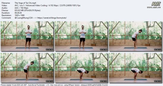 The Collective Yoga - The Yoga of Tai Chi