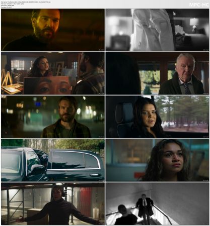 The Painter 2024 2160p AMZN WEB-DL DDP5.1 H265-FLUX