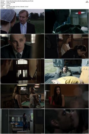 Banshee S02 1080p BluRay x264-OFT