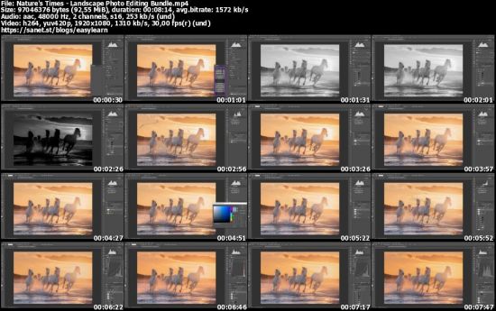 Nature's Times - Landscape Photo Editing Bundle