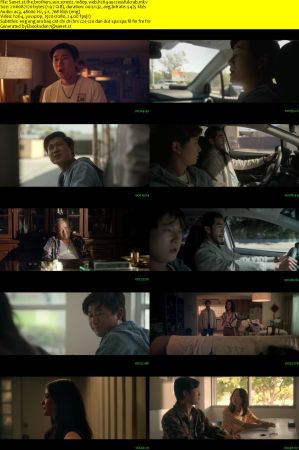 The Brothers Sun S01 1080p WEB H264-SuccessfulCrab