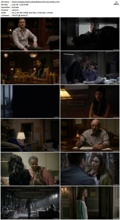 Rogue S03 480p WEB DL nSD x264-NhaNc3