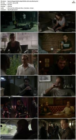 Rogue S03 480p WEB DL nSD x264-NhaNc3