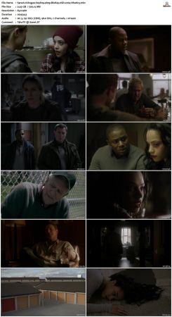 Rogue S03 480p WEB DL nSD x264-NhaNc3