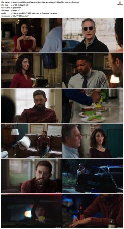 NCIS New Orleans S07 WEBRip 1080p DDP5 1 H265-d3g