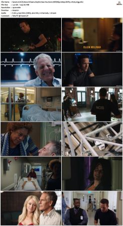 NCIS New Orleans S05 WEBRip 1080p DDP5 1 H265-d3g