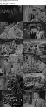 Angel On The Amazon 1948 1080p BluRay x264-SUP3R