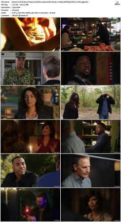 NCIS New Orleans S07 WEBRip 1080p DDP5 1 H265-d3g