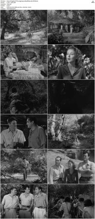 Daughter Of The Jungle 1949 1080p BluRay x264-SUP3R