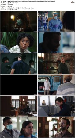 NCIS New Orleans S07 WEBRip 1080p DDP5 1 H265-d3g