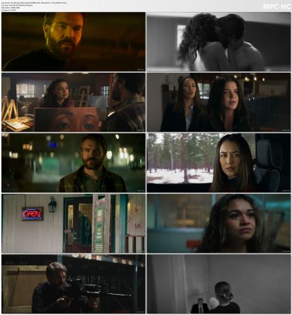 The Painter 2024 2160p 4K WEB x265 10bit AAC5.1-YTS